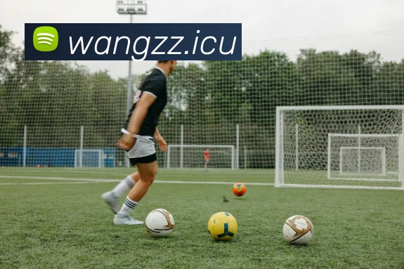 九游(NINE GAME)体育·官方网站 - 中国智慧体育科技领导者服务体系